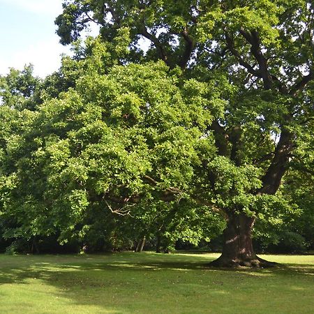 Готель Gilwell Park Чінґфорд Екстер'єр фото