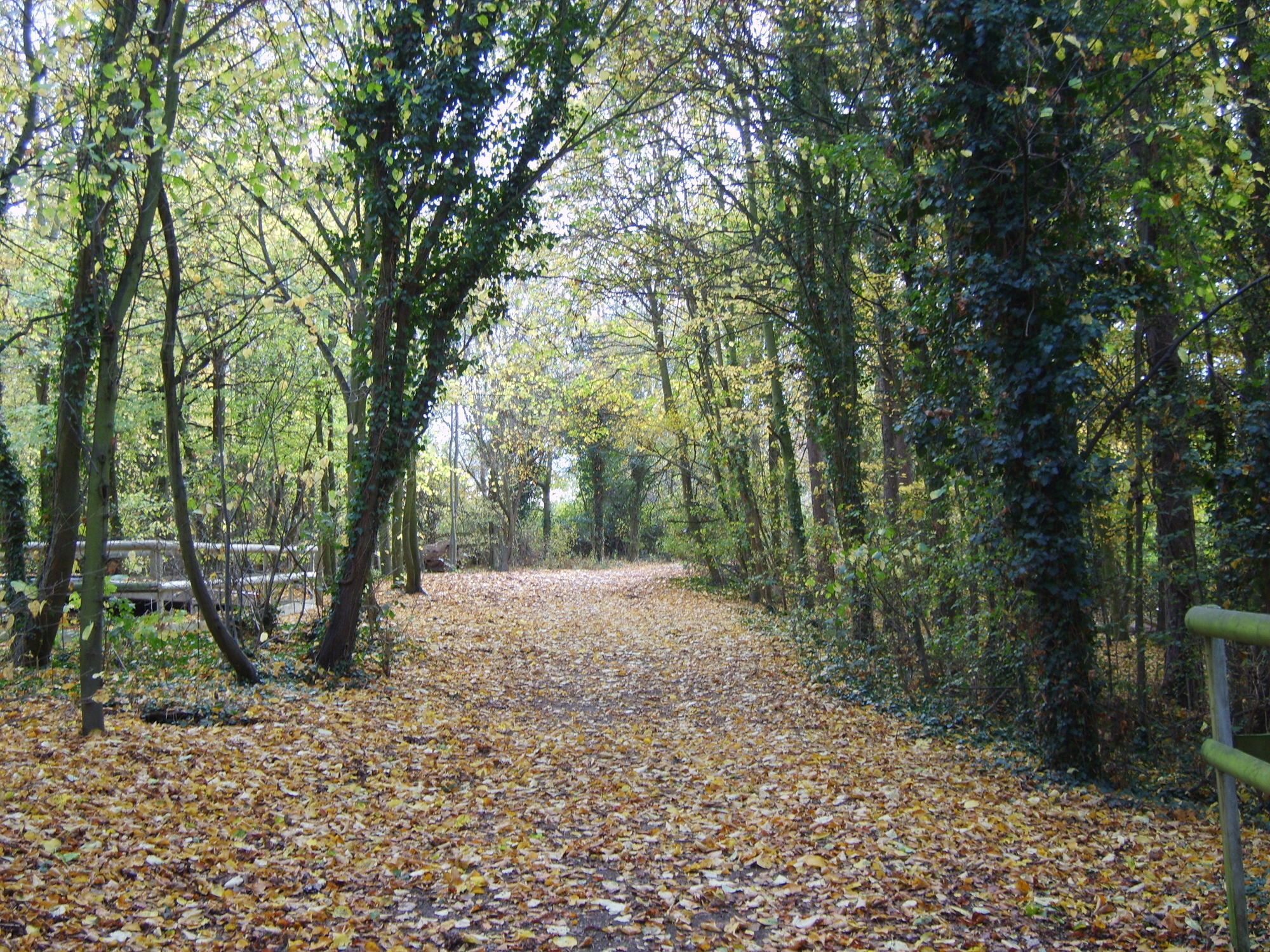 Готель Gilwell Park Чінґфорд Екстер'єр фото