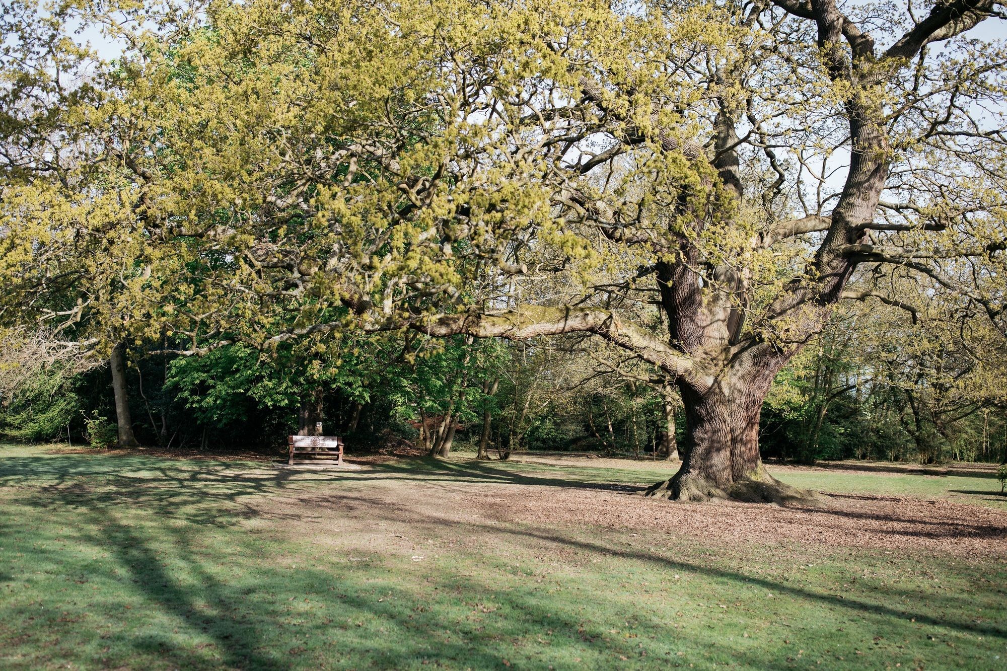 Готель Gilwell Park Чінґфорд Екстер'єр фото
